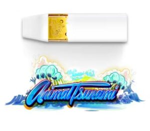 Jungle Boys Animal Tsunami - Live Rosin